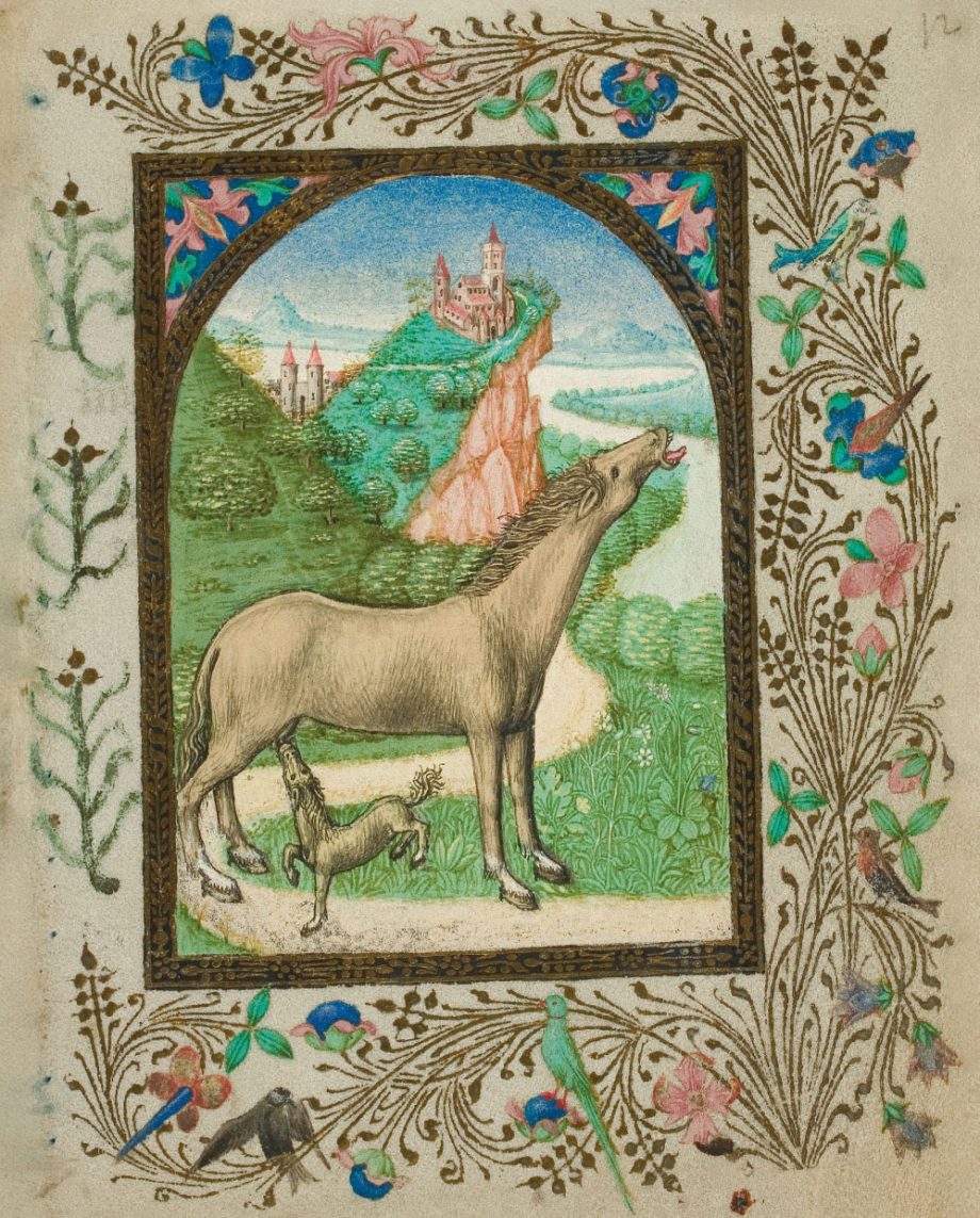 Franz von Retz - Historias increíbles