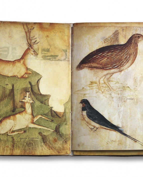 Giovannino de Grassi Eikon Editores